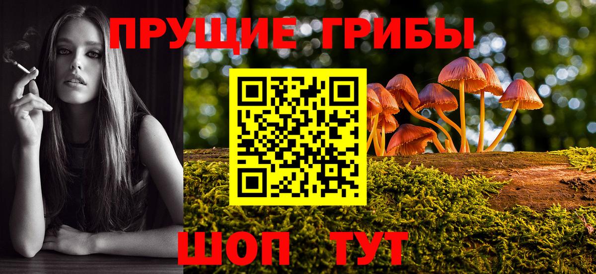Галлюциногенные грибы Psilocybe  Вход с VPN  где найти наркотики  Усть-Джегута 