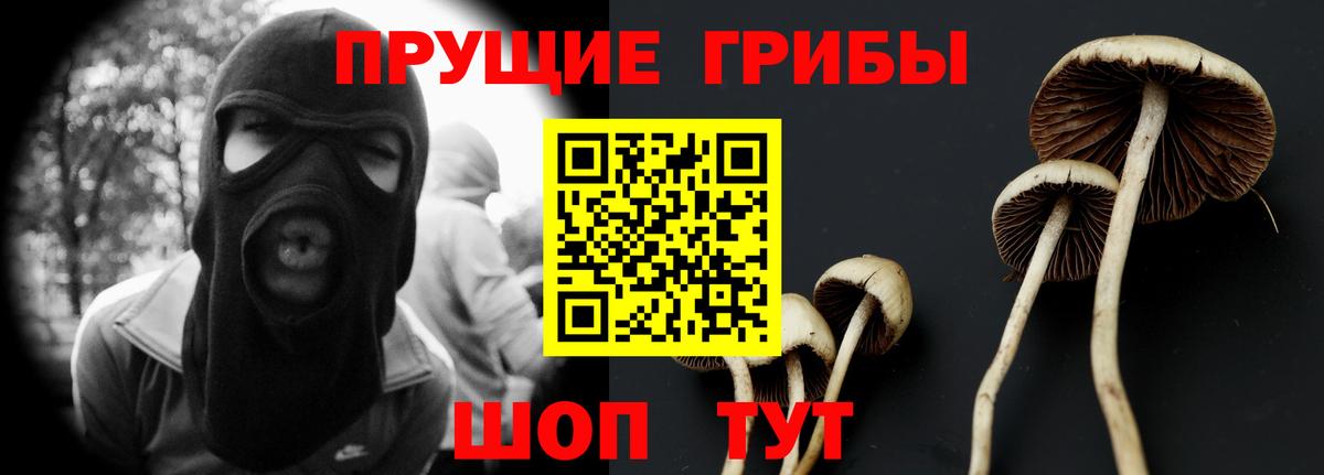 Псилоцибиновые грибы Magic Shrooms Усть-Джегута